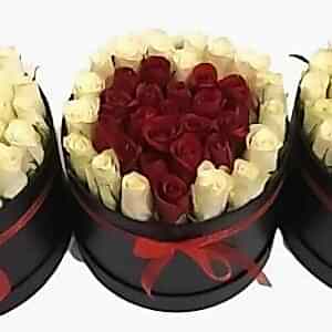 I love you Trıo Box