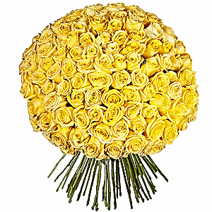 Flowers delivery Kağıthane istanbul