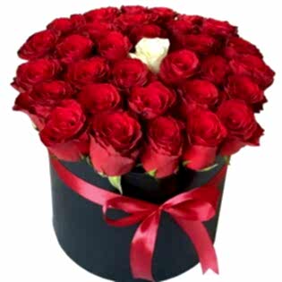 Istanbul Roses