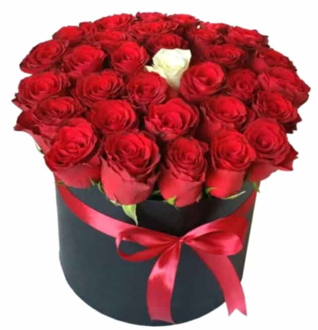 Istanbul Roses