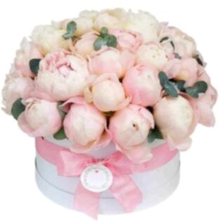Queens Peonies
