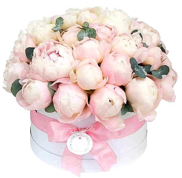 Queens Peonies