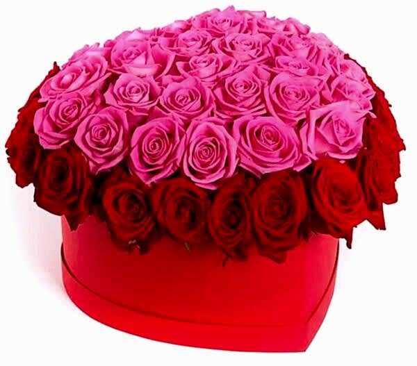 Flowers Delivery İzmir