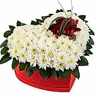 Red On White Box