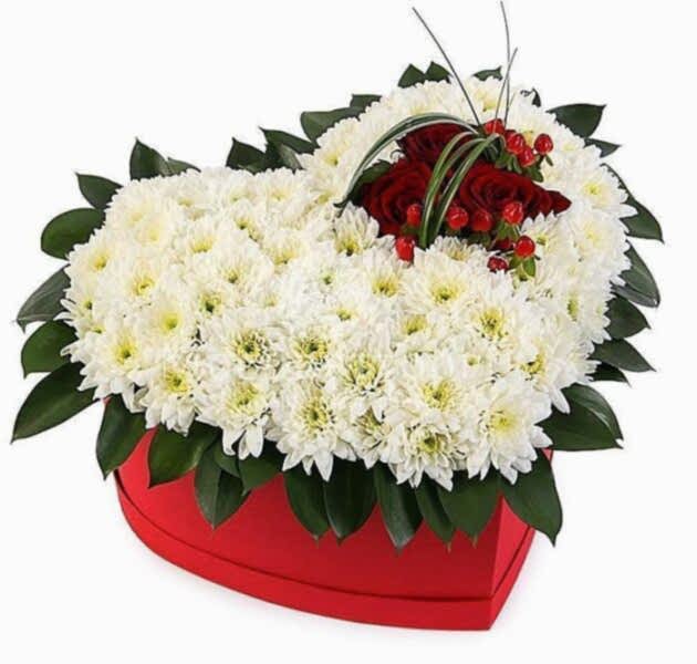 Red On White Box