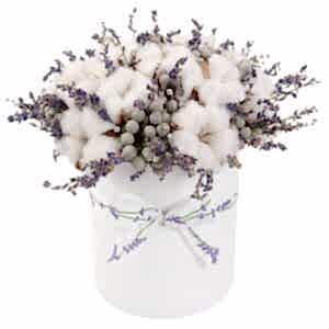 Snowing And Lavender Box