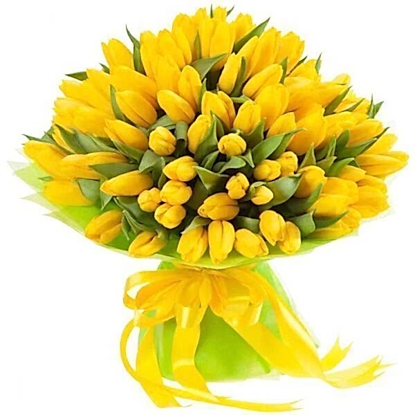 Yellow Tulips